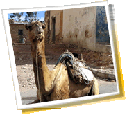 pilsētas panorāma ceļojumiem - Eritreja, laika ziņas, telefona kods, foto galerijas