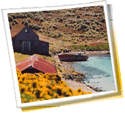 pilsētas panorāma ceļojumiem - Folklanda (Malvinas) salas, laika ziņas, telefona kods, foto galerijas