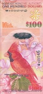 100 dollars 100