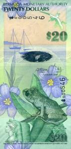 20 dollars 20