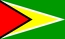 Nacionalais karogs, Gajāna
