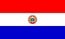 Nacionalais karogs, Paragvaja