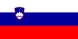Nacionalais karogs, Slovēnija