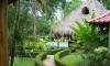 Bungalow Pool Villa.