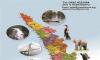 10 Days Kerala Holidays from Apparent Tours